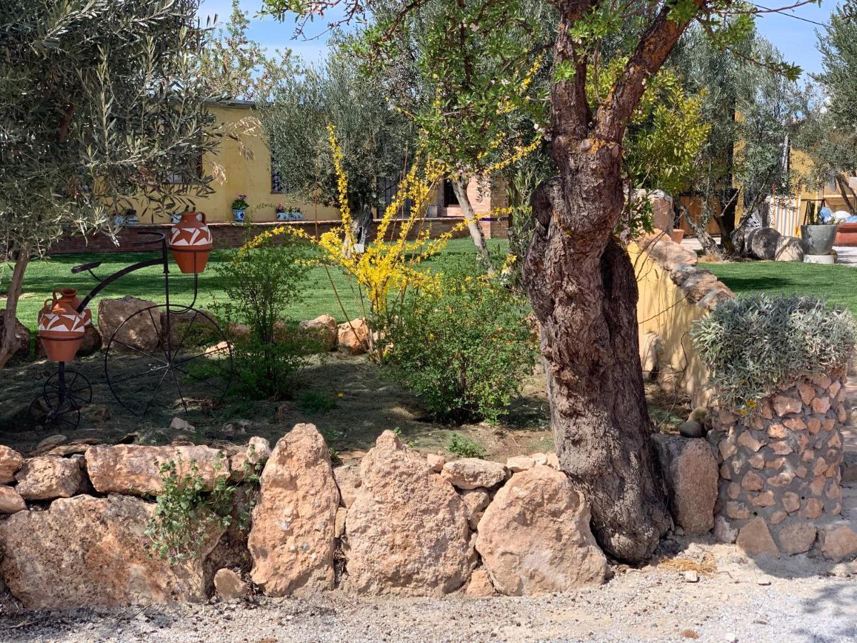 Cortijo Bustamante Guest House Baza Exterior foto